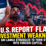 Sri Lanka Investment Crisis Report